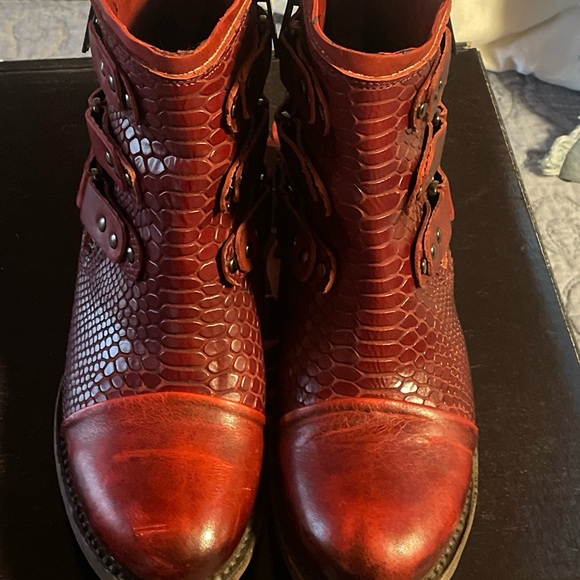 Freebird Gecko in Red - Picture 7 of 11